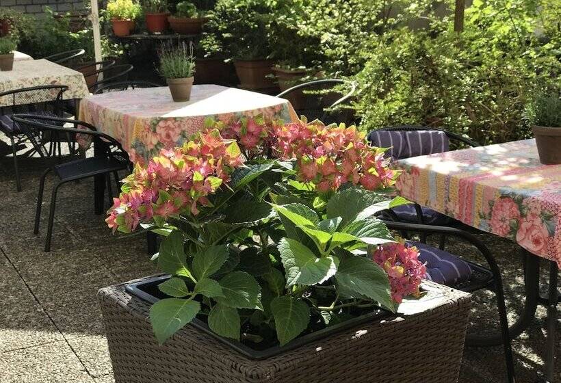 فندق Cascade Superior