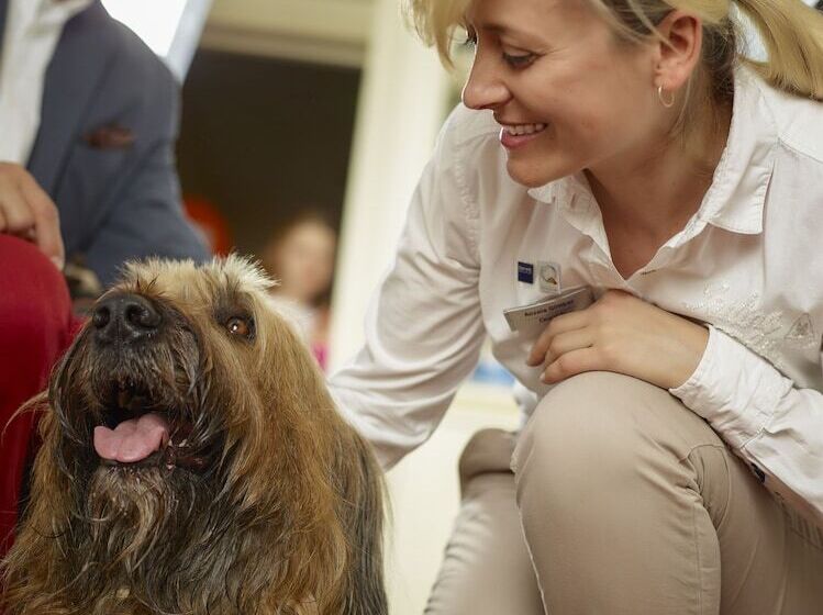 فندق Dorint Strandresort & Spa Westerland/sylt