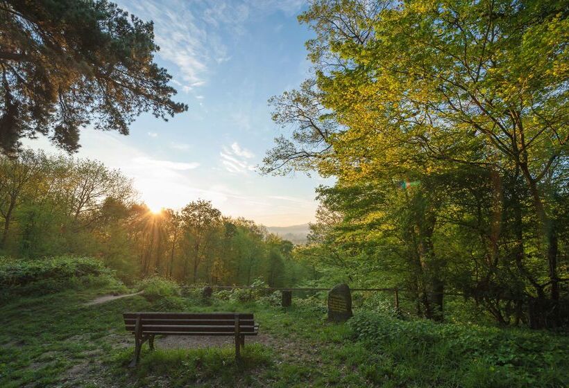 בית מלון כפרי Dorint  Venusberg Bonn