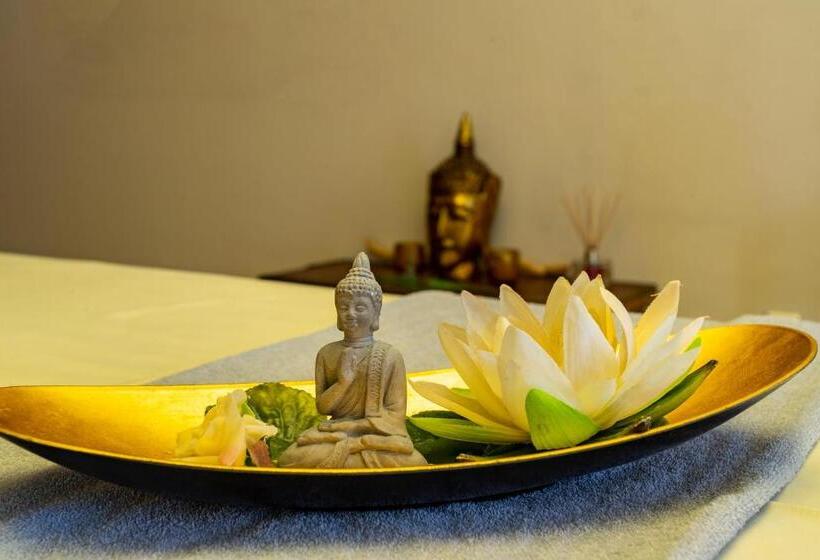 Freund   Privathotels Dr Lohbeck