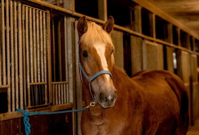 Freund   Privathotels Dr Lohbeck