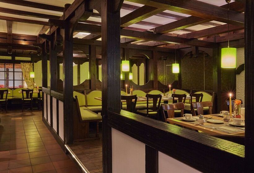 호텔 Plaza Inn Goslar