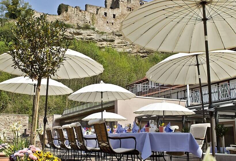 فندق Relais & Châteaux Hardenberg Burg