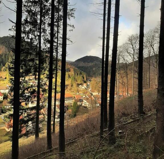 Harz Hotel Iris