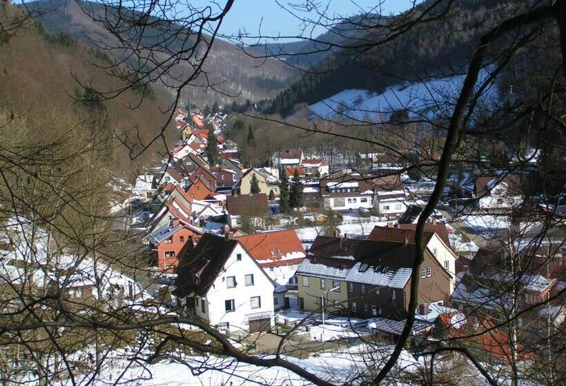 Harz Hotel Iris