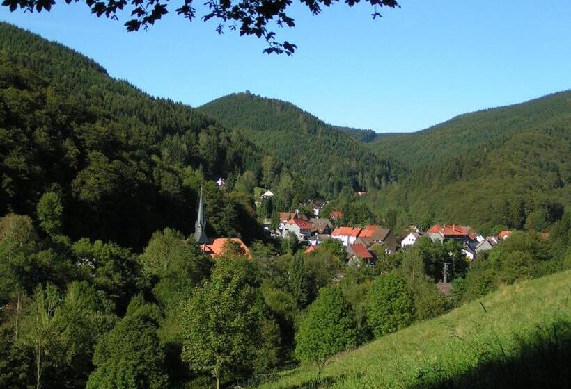 Harz Hotel Iris