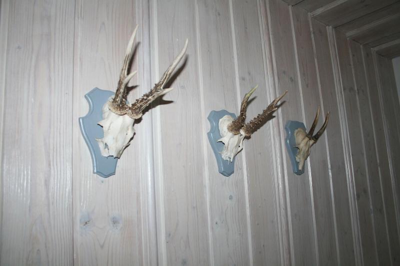 Landhotel Villa Foresta