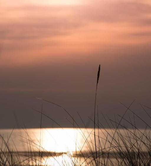 酒店 Landhaus Carstens