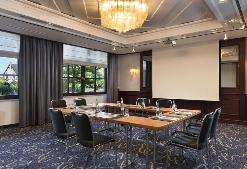 Maritim Hotel Königswinter