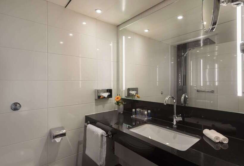 Maritim Hotel Königswinter