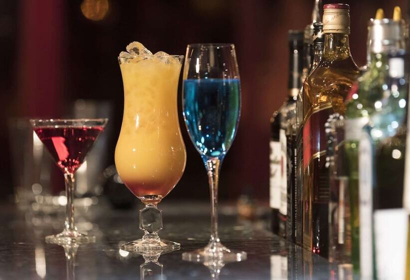 Maritim Hotel Königswinter