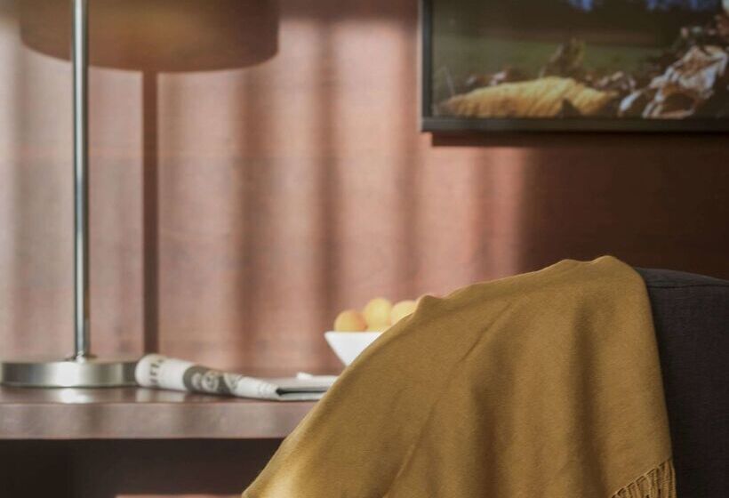 Maritim Hotel Königswinter