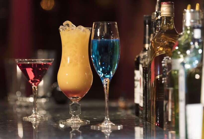 Maritim Hotel Königswinter