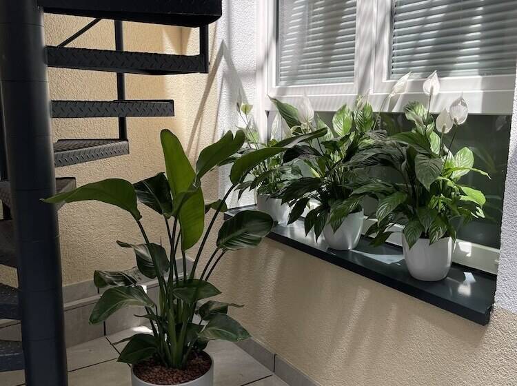 Palm Premium Hotel & Apartments