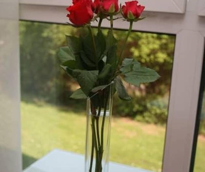 فندق Restaurant Fasanerie