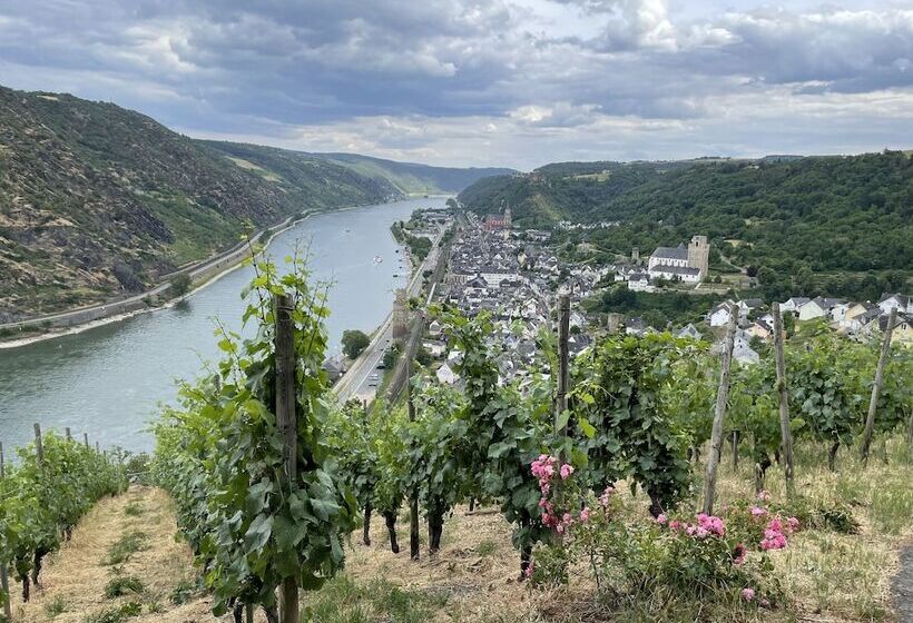 Отель Rheinlust