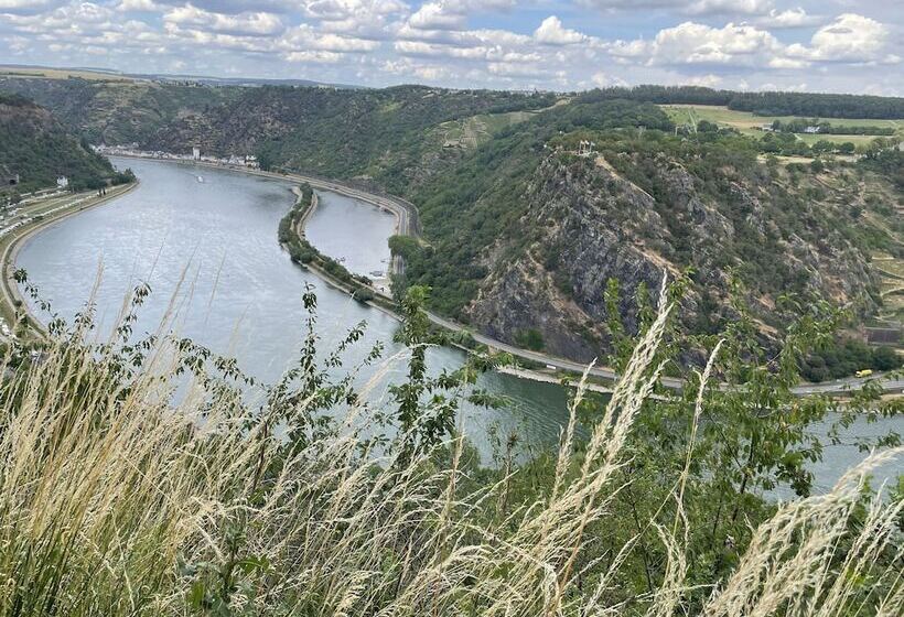 Отель Rheinlust