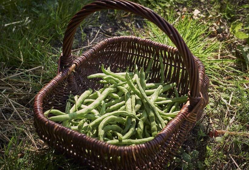 Romantik Hotel Jagdhaus Eiden Am See