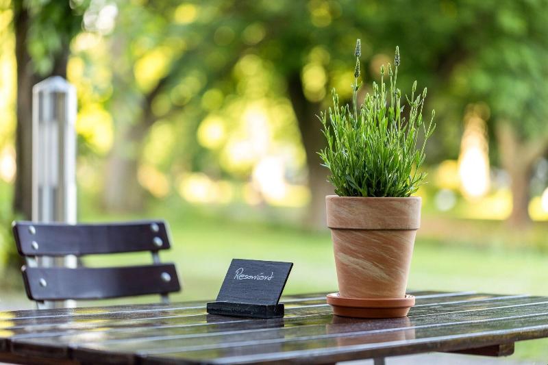 Отель Sheraton Essen