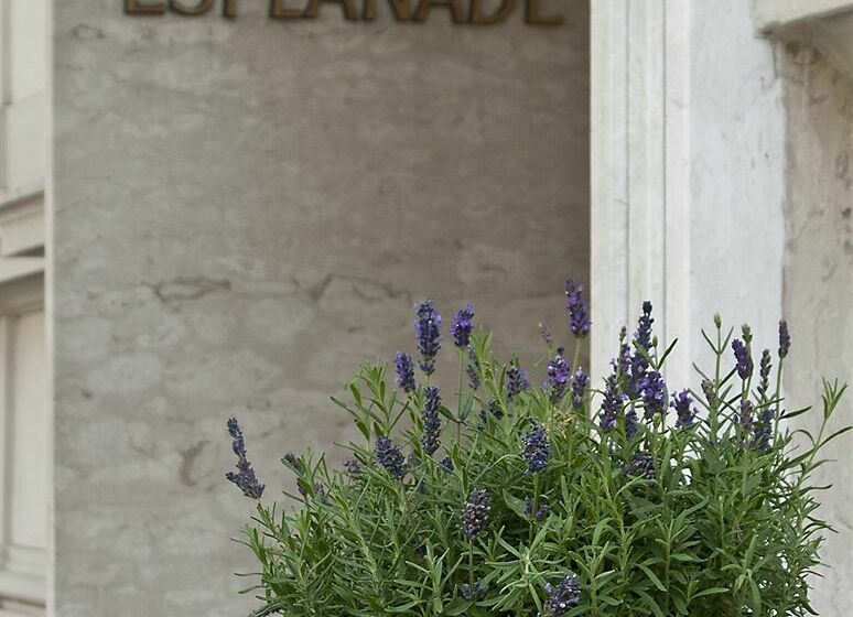 فندق Villa Esplanade