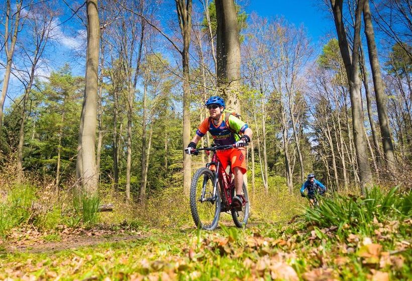 ホテル Zugbrücke Grenzau Gmbh