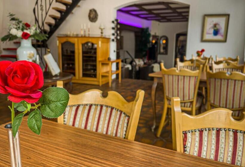 ホテル Zum Goldenen Löwen