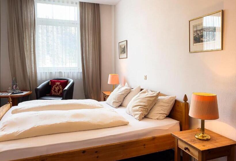 酒店 Zum Goldenen Löwen