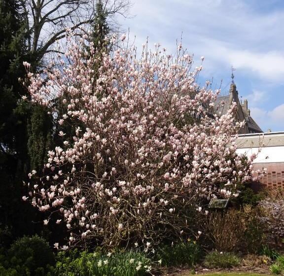 فندق Zur Brücke