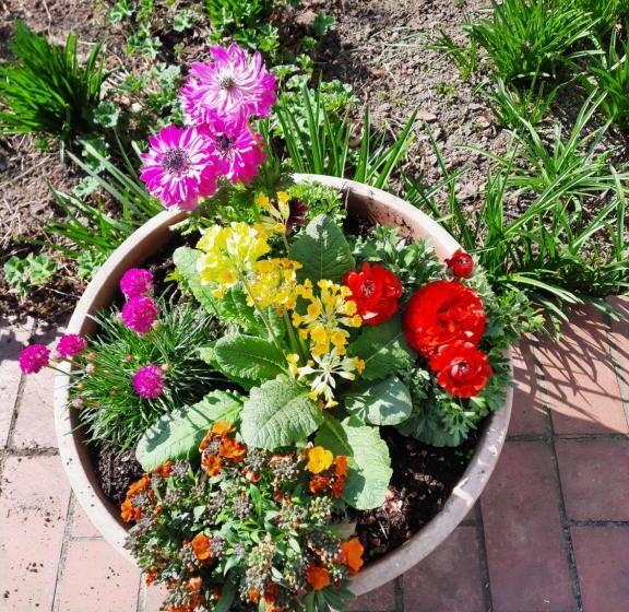 فندق Zur Brücke