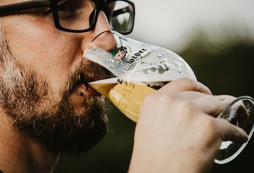 호텔 Zur Burg Sternberg