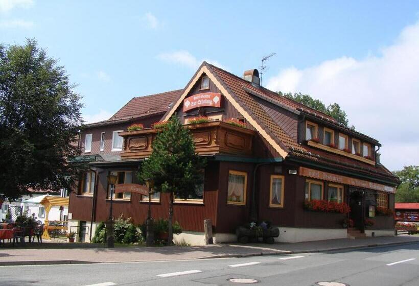 فندق Zur Erholung