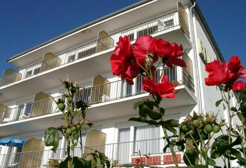 호텔 Zur Schönen Aussicht