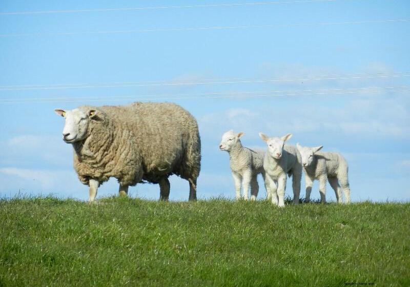 Nordsee Hotel Arlau Schleuse
