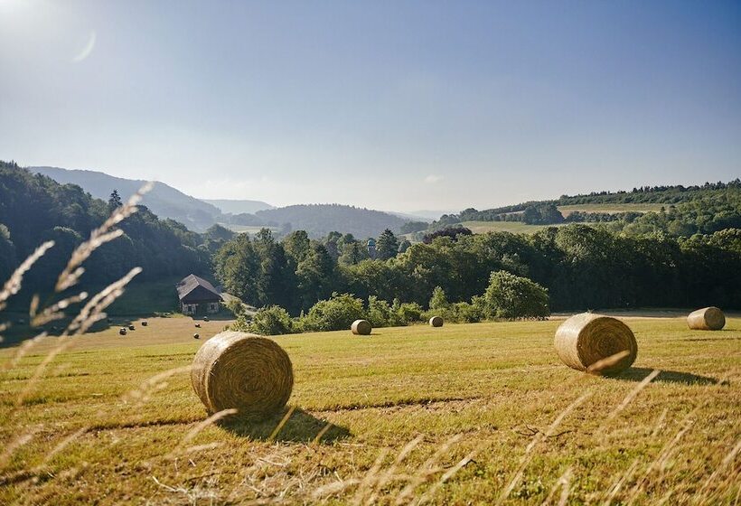 Отель Hohenhaus