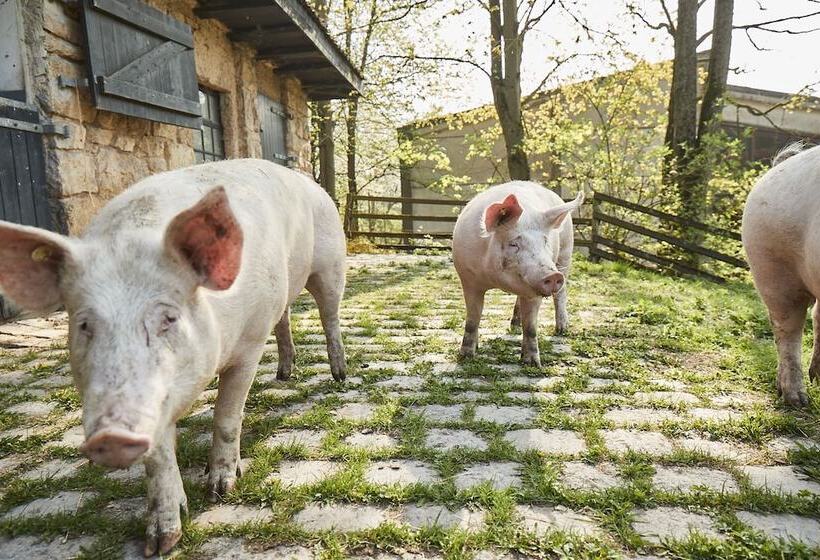 Отель Hohenhaus