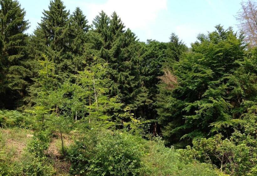 Waldhotel Porta Westfalica