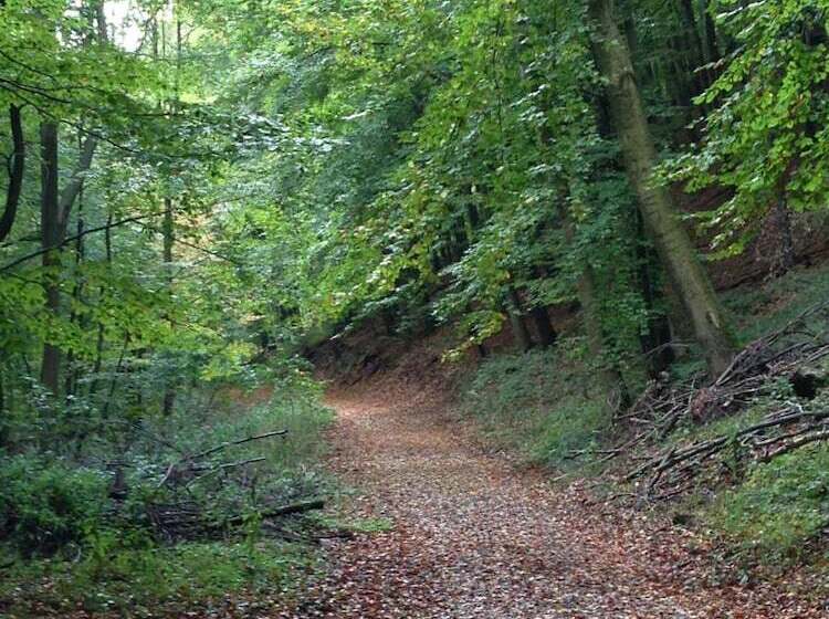 Waldhotel Porta Westfalica