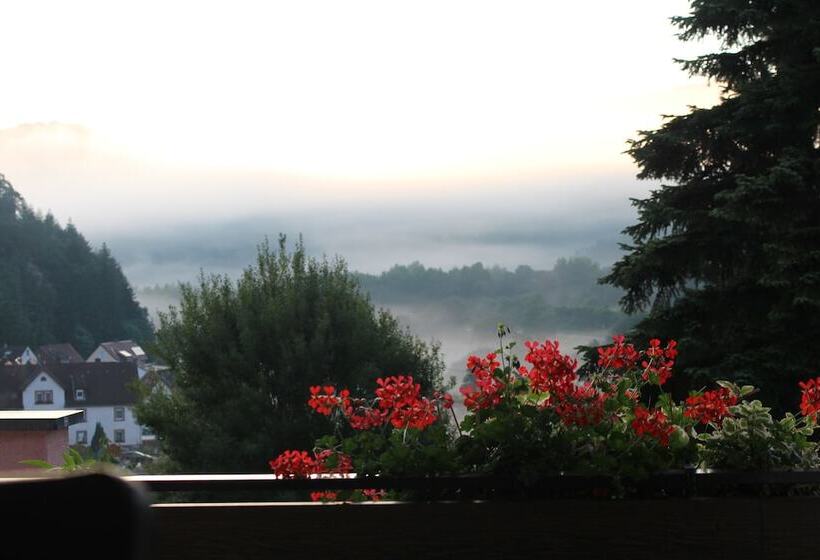 Отель Am Hirschhorn   Wellness   Spa   And More