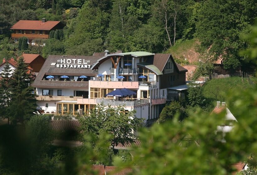 Отель Am Hirschhorn   Wellness   Spa   And More