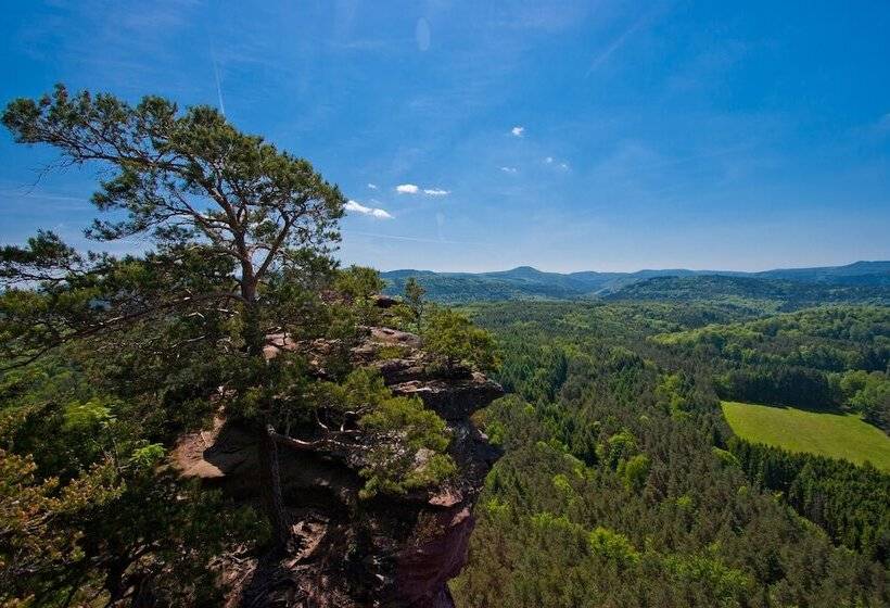 Отель Am Hirschhorn   Wellness   Spa   And More