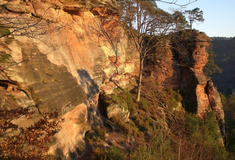 Отель Am Hirschhorn   Wellness   Spa   And More