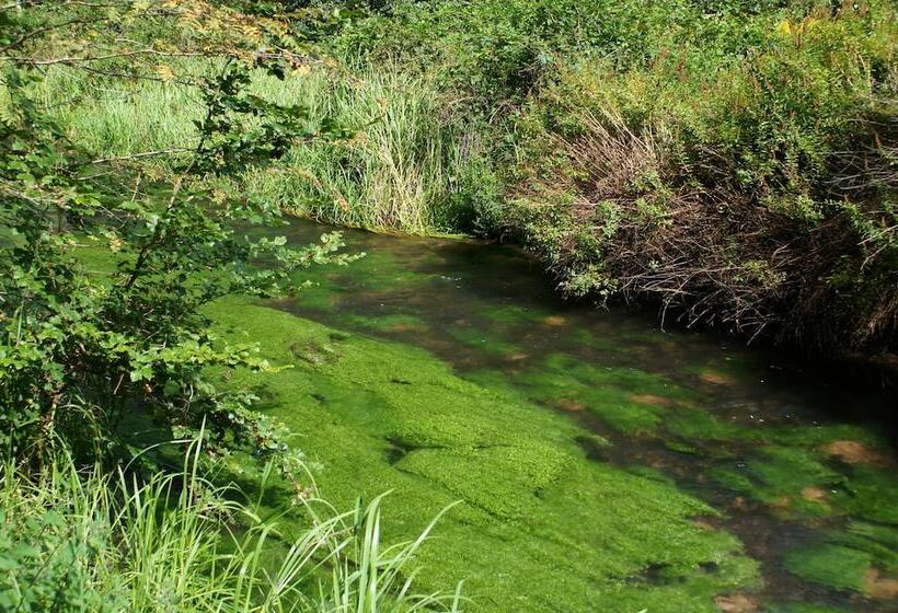 Отель Am Hirschhorn   Wellness   Spa   And More