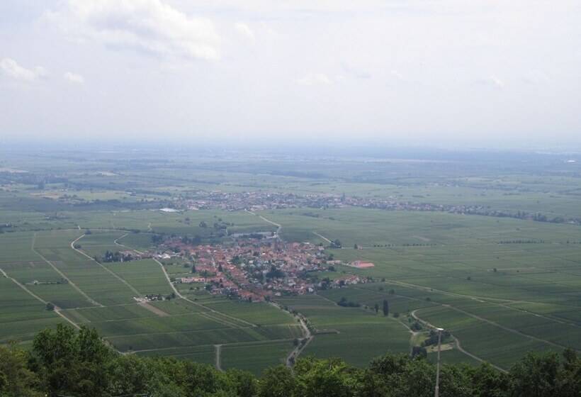 Отель Am Hirschhorn   Wellness   Spa   And More