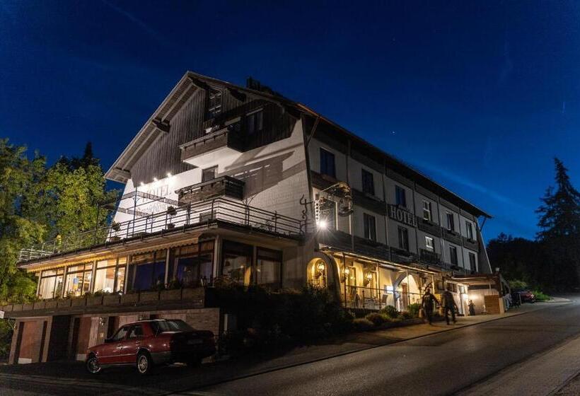 בית מלון כפרי Bergschloßchen