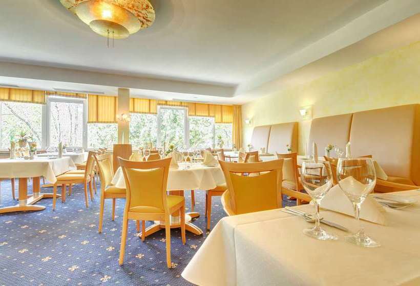Best Western Plus Hotel Steinsgarten