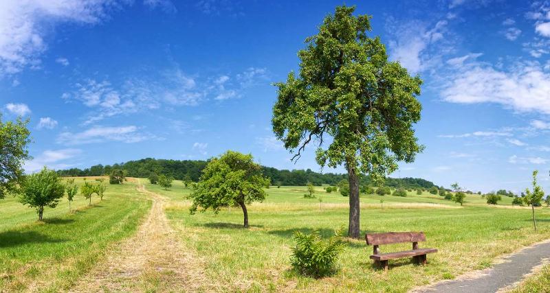 Best Western Victor S Residenz Hotel Rodenhof