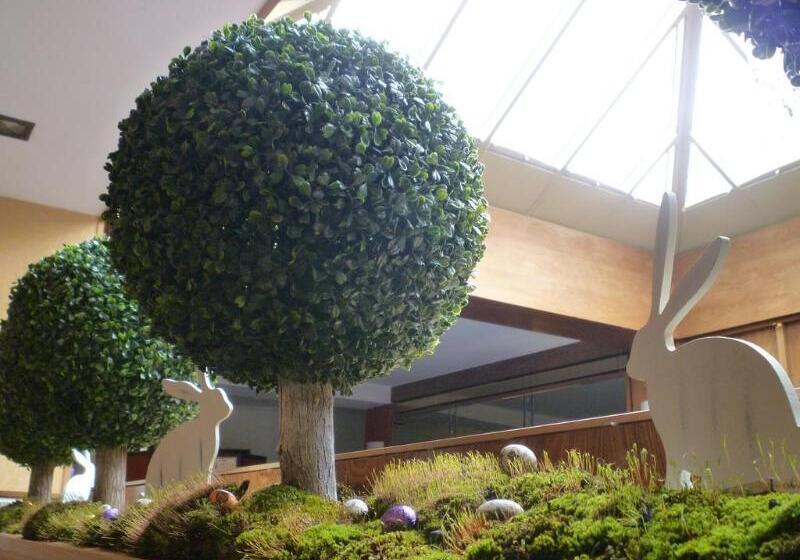 בית מלון כפרי Central