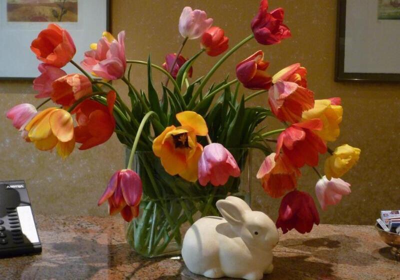 בית מלון כפרי Central