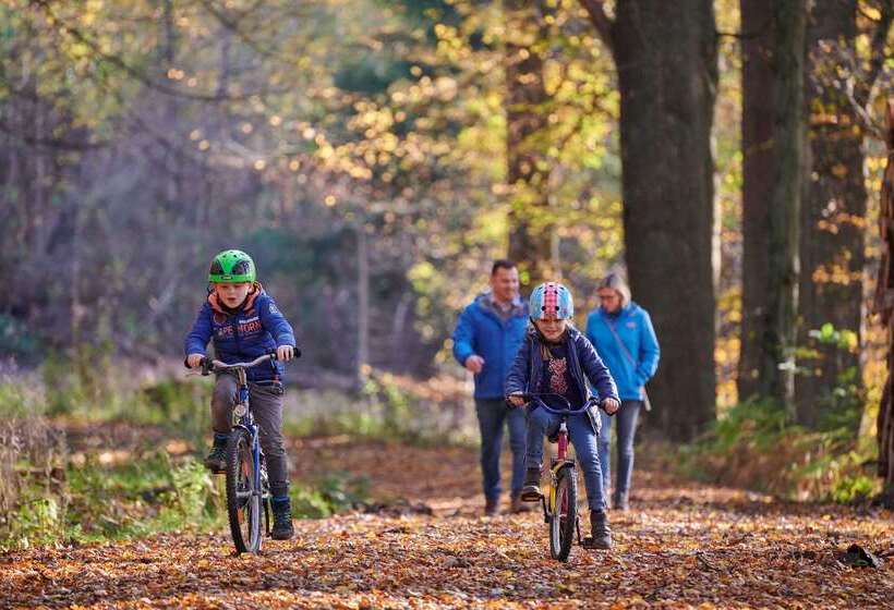 Fletcher Hotel Restaurant Arnsberg Sauerland