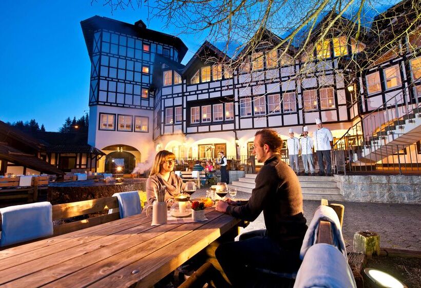 בית מלון כפרי Dorint Resort Winterberg